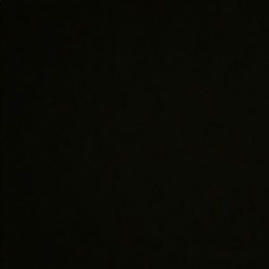 Meet your Posher, Simona